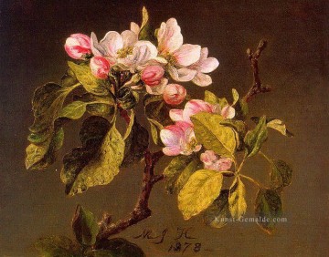 Klassische Blumen Werke - Apfelblüten Martin Johnson Heade blumen 